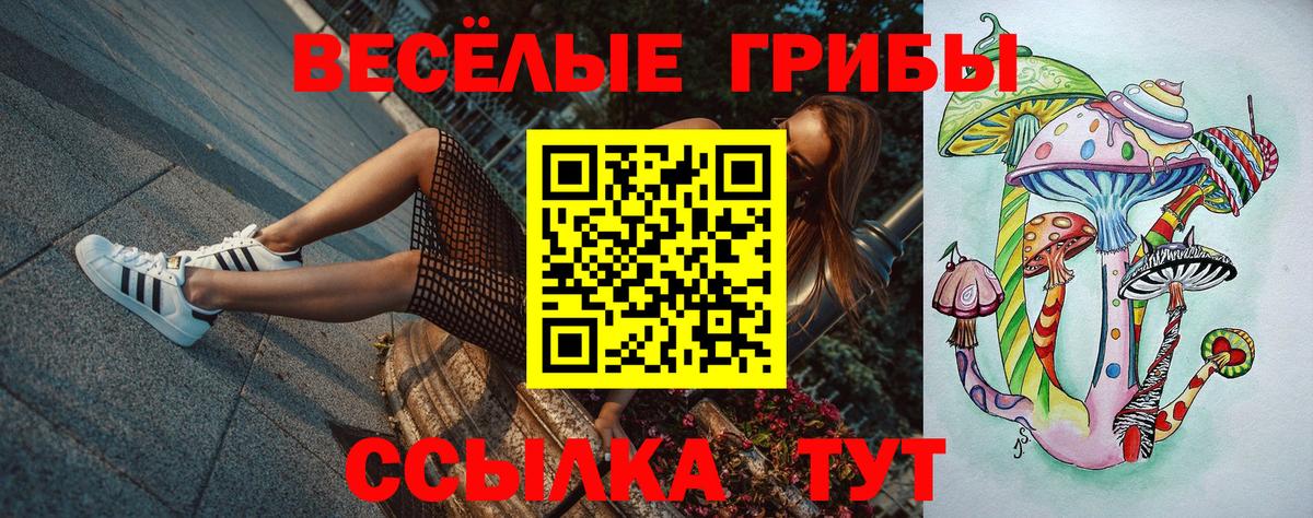 Псилоцибиновые грибы мухоморы  Вход с VPN  Тосно 